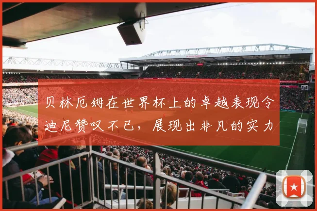 贝林厄姆在世界杯上的卓越表现令迪尼赞叹不已，展现出非凡的实力与魅力